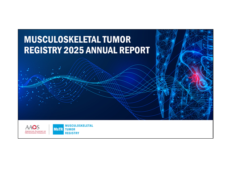 MsTR 2025 Annual Report Slides